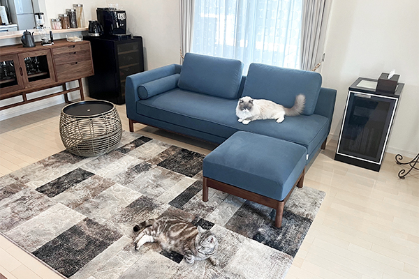 VESEL 3人掛け + RECTA(WN) スツール | お客様の声 | ソファ専門店