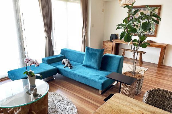 ブルー | ソファライフフォト検索 | ソファ専門店FLANNEL SOFA