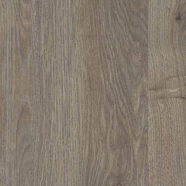 Shaw World's Fair 6 II Dublin 2044V-00763 6