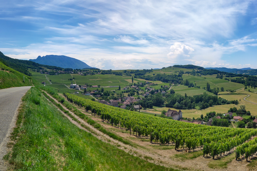 グルメ】ぶどう畑眺望が見事な2つ星レストラン Les Morainières