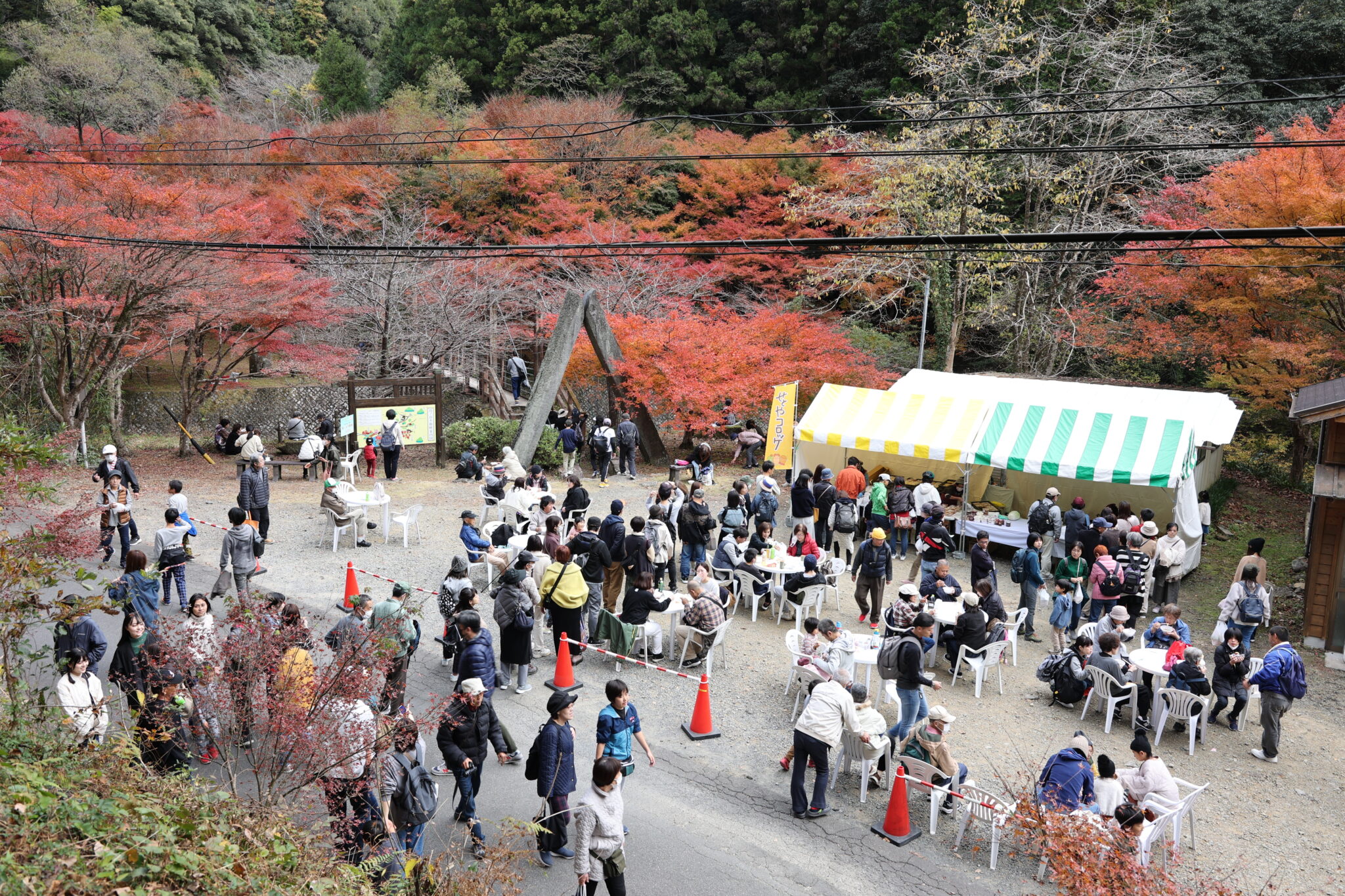 滝ノ谷不動峡 もみじまつり」開催について | （一社）藤枝市観光協会