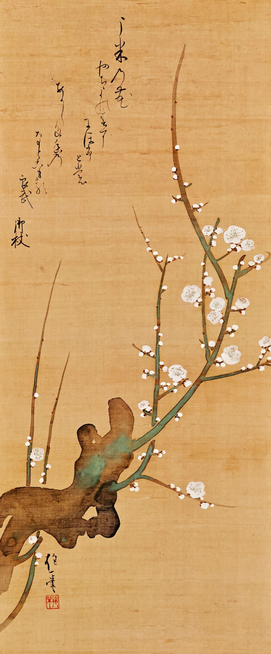 白梅図 | 酒井抱一 | 収蔵品詳細 | 作品を知る | 東京富士美術館
