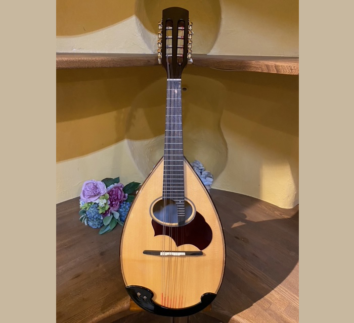 M-30 マンドリン鈴木バイオリン ｜ G-Call ふるさと納税