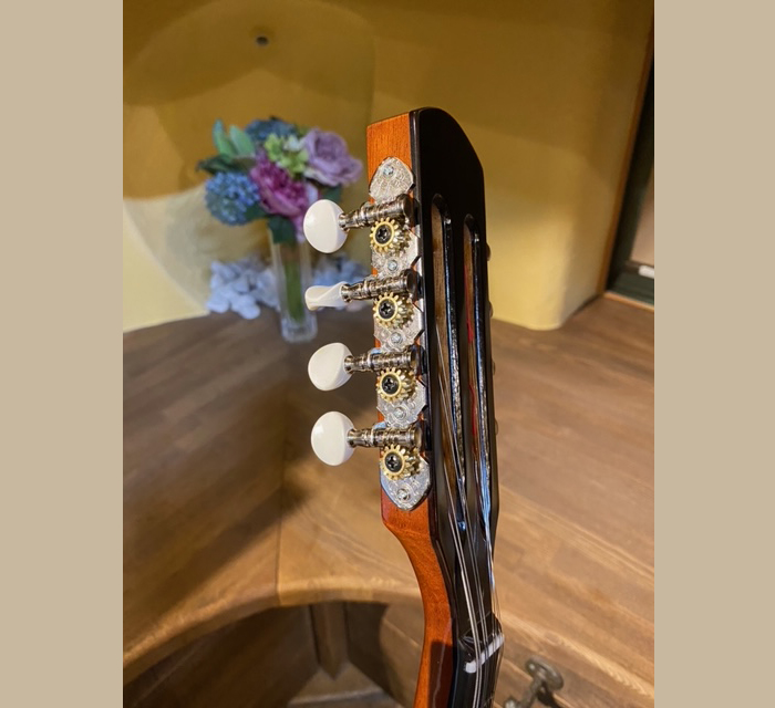 M-30 マンドリン鈴木バイオリン ｜ G-Call ふるさと納税