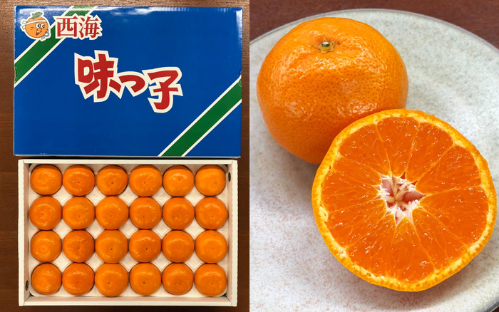 長崎産 樹上完熟味っ子みかん 糖度13度以上保証 有機肥料 | G-Call