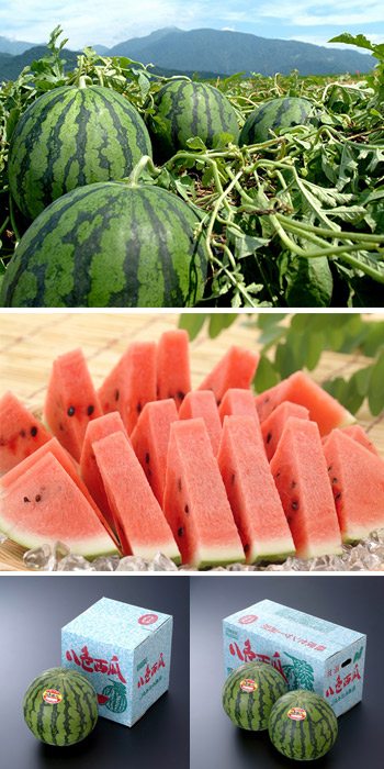 JAみなみ魚沼 八色西瓜(やいろスイカ) | G-Callショッピング