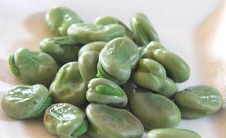 鹿児島 指宿(いぶすき)産 そらまめ 野菜 | G-Callショッピング