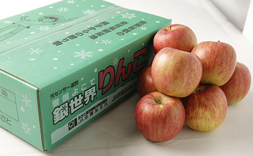 大阪市中央市場 万果 《糖度15度以上選果》JA秋田ふるさと銀世界りんご