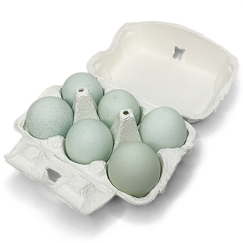 緑の一番星 田子たまご村 青森県田子町産 | G-Callショッピング