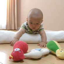 乳幼児の発達と保育 全3巻セット | 日本スリービー・サイエンティフィック