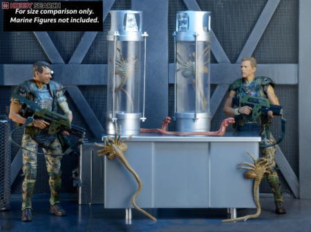 ホビーサーチブログ - エイリアン 7インチアクションフィギュア30周年