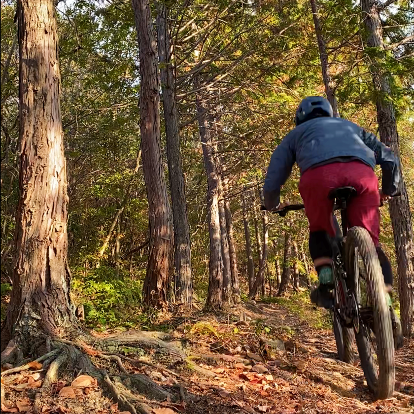 Top Fuel（トップフューエル）9.9 XO AXS GEN4をトレイルで試乗「こ