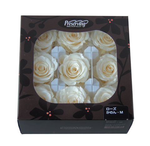 アウトレット・大地農園・ローズ9輪【かのんM】 | プリザーブド