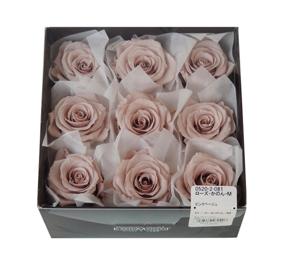 アウトレット・大地農園・ローズ9輪【かのんM】 | プリザーブド