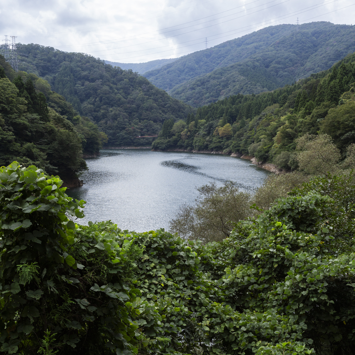 我谷盆 ｜ 展覧会 ｜ 工芸青花 kogei-seika