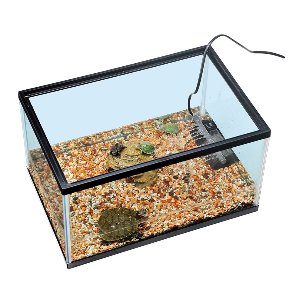 ジェックス カメ元気 カメの楽園450 飼育セット: ペット