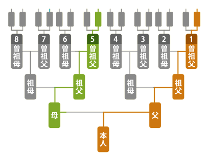 家系図を作るには | 家系図について | 株式会社亘徳