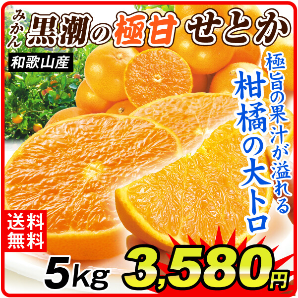 国華園オンラインショップ / みかん 5kg 黒潮の極甘 せとか 和歌山産