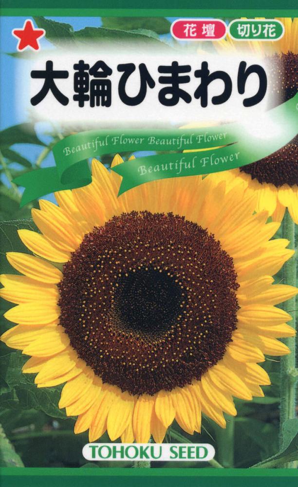ヒマワリ種子 大輪一重咲 黄色 の通販 | ホームセンター コメリドットコム