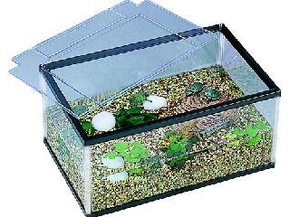 ジェックス（GEX） カメ元気かんたん飼育セットST の通販