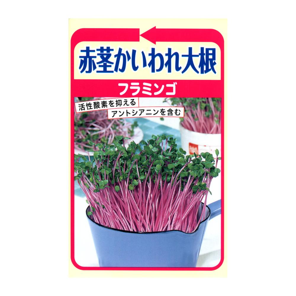 トーホクのたね ダイコン種子 赤茎かいわれ大根 フラミンゴ の通販