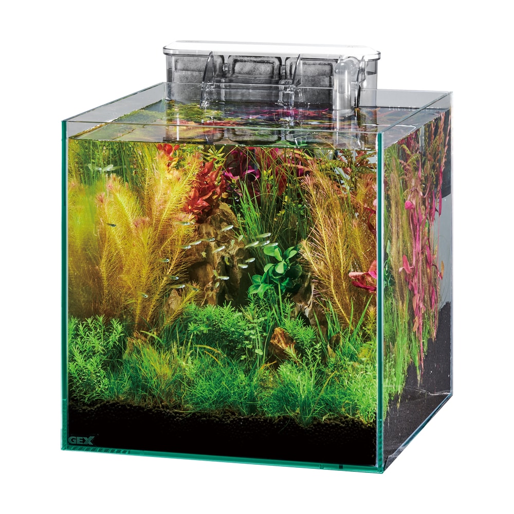 グラステリア300キューブ スリムフィルターセット の通販