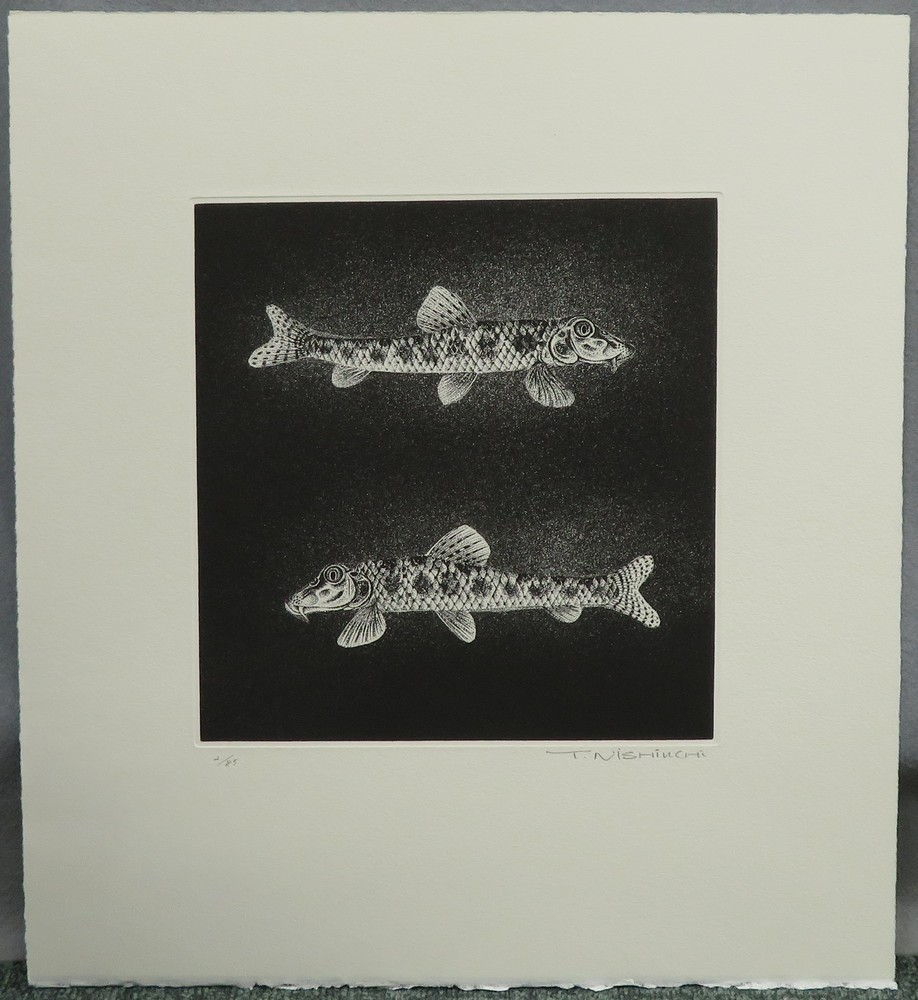 西内利夫 銅版画 琵琶湖の仲間たち モロコ 自筆サイン 額装 郡魚 額 E