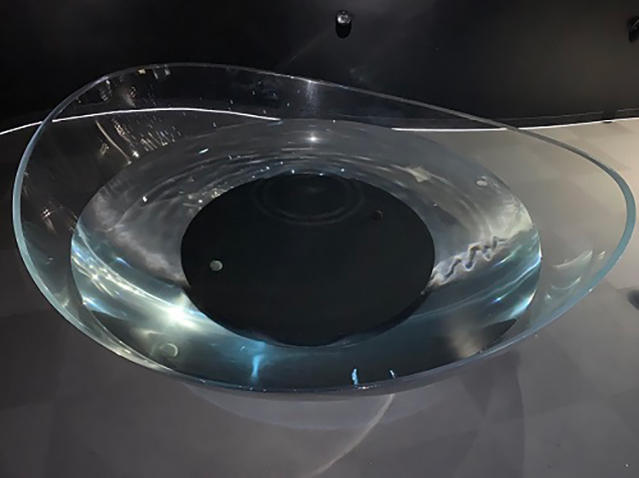 お椀水槽（海月銀河）のおはなし｜海遊館とつながる｜海遊館