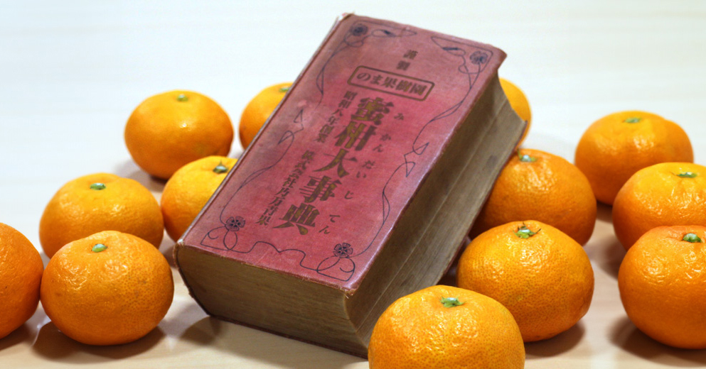 ニューサマーオレンジ（日向夏） | みかん大事典 | みかんのことなら