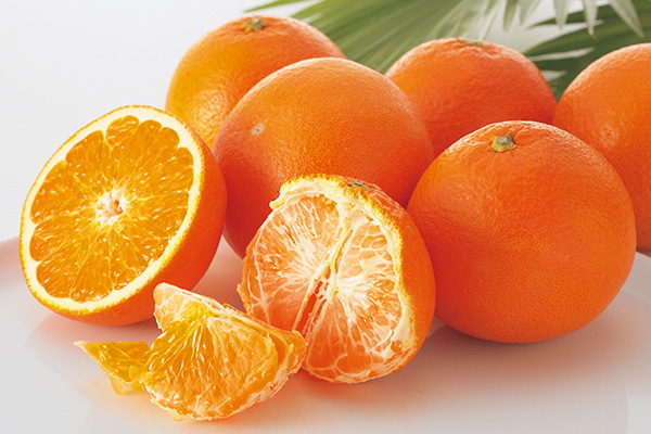 西之香 | みかん大事典 | みかんのことなら「のま果樹園」 [ Produced