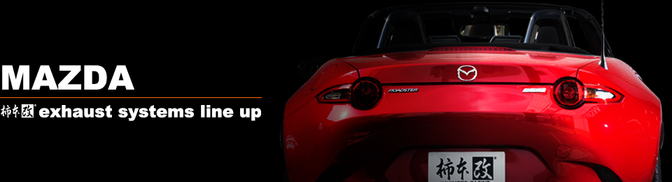 製品情報：デミオ （DJ5FS 1.5_ディーゼルターボ 2WD(FF)） 2014/10