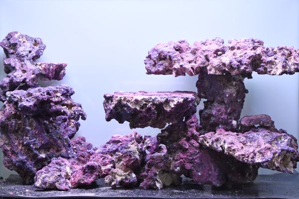 人工ライブロック RR61 アク抜き済み安心塗料使用 人工ライブロックを