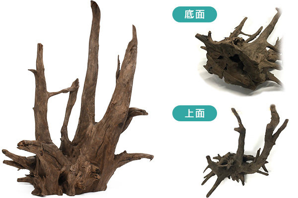タイ産天然流木 ダークホーンウッド：石・流木 ～神畑養魚株式会社～