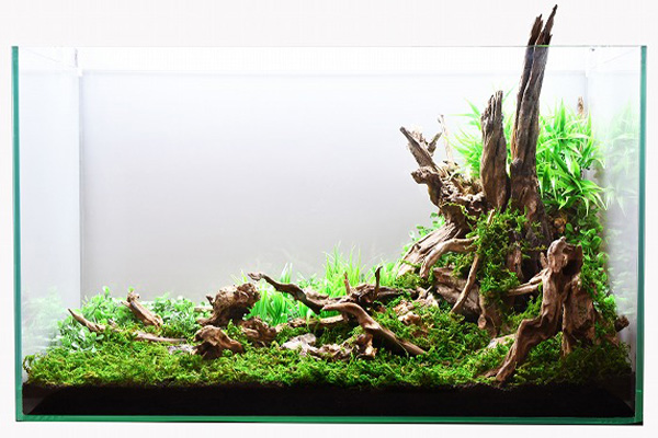 オールドウッド：石・流木 ～神畑養魚株式会社～