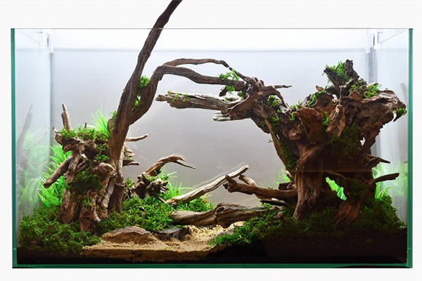 オールドウッド：石・流木 ～神畑養魚株式会社～