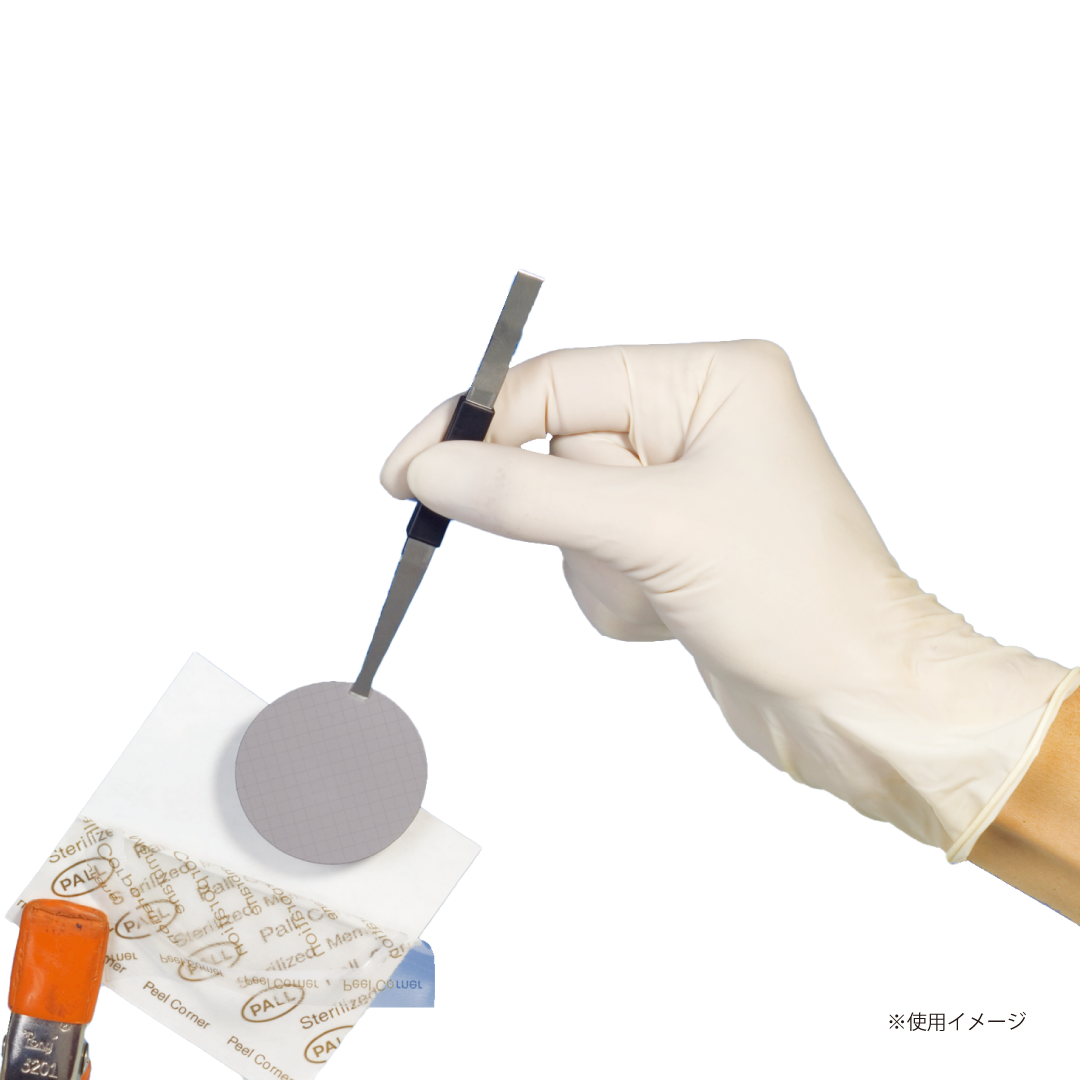 ｽﾃﾝﾚｽﾋﾟﾝｾｯﾄ ﾏﾙﾁｶﾗｰｸﾞﾘｯﾌﾟ