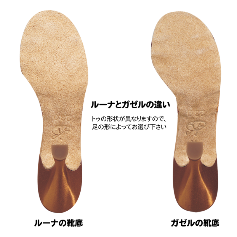 ガゼル BXL ハバナサテン - Kentdance