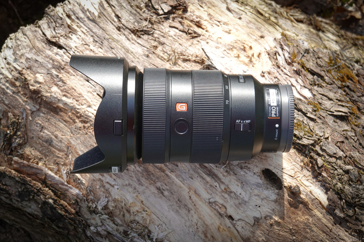 ソニー FE 24-70mm F2.8 GM レビュー｜葛原よしひろ | ShaSha