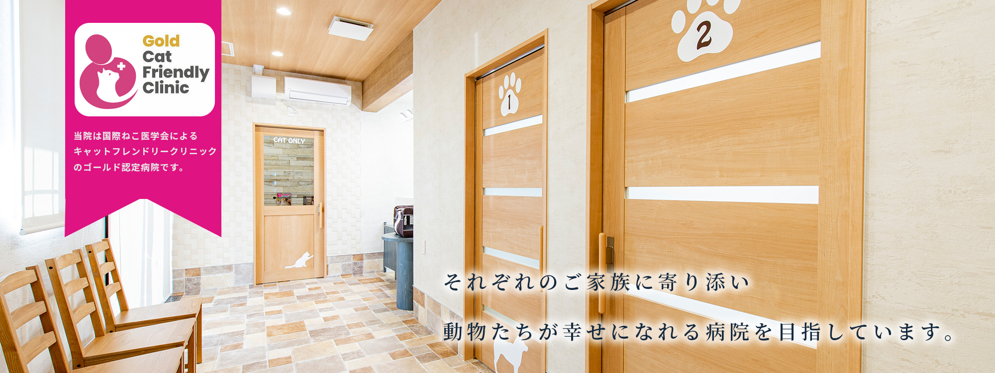 きぶね動物病院 | 静岡県浜松市浜名区貴布祢に2020年2月22日開院の動物