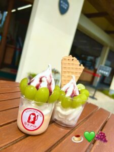 熊本県のいちご狩り・ぶどう狩り・りんご狩り・梨狩り・みかん狩りなら