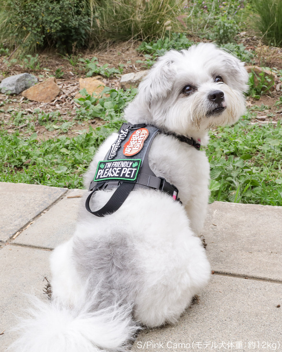 Harness – KILONINER ONLINESHOP