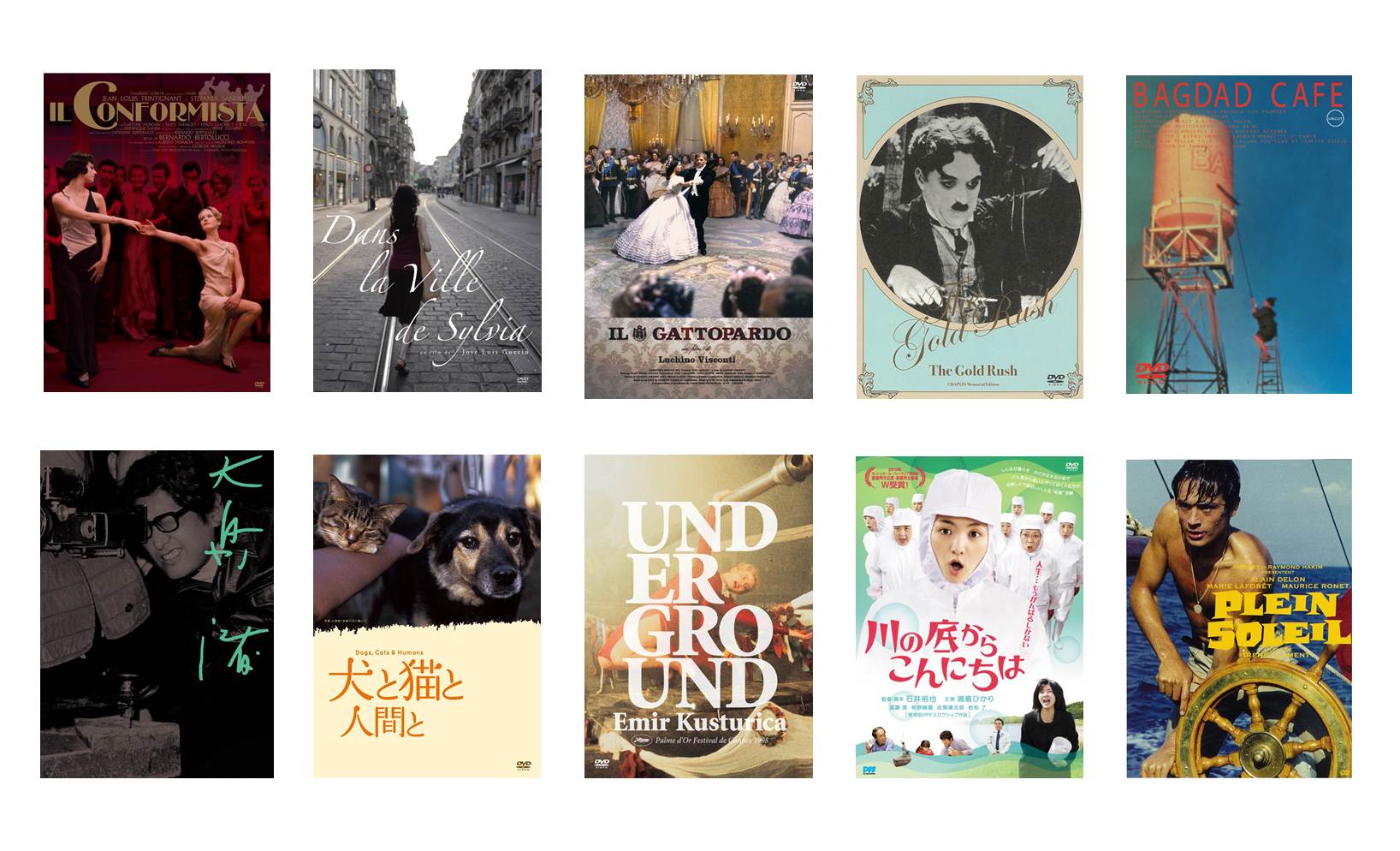 新宿本店】紀伊國屋レーベルDVD旧作20％～40％OFFフェア