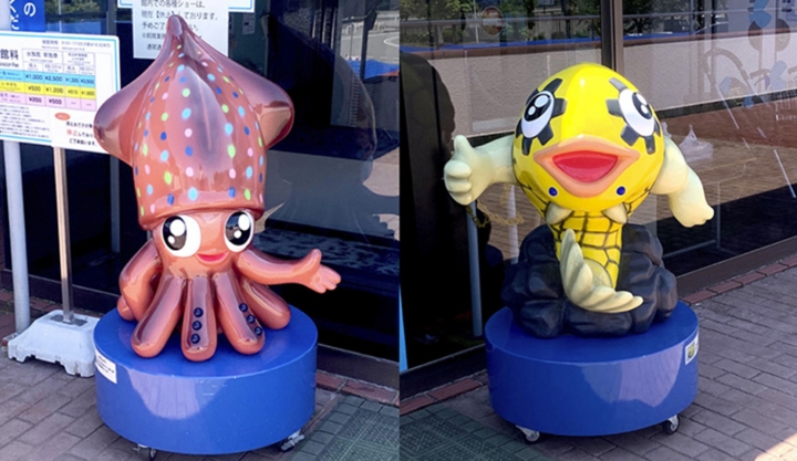 富山のお魚を思い切り楽しむならココ♪ 魚津水族館 | 新着情報 | 北陸