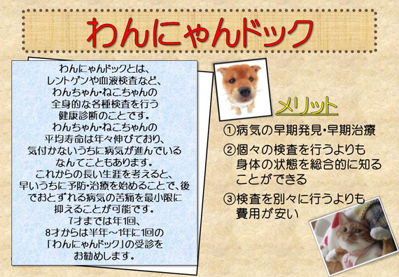 予防医療 | 一般外来 | くう動物病院 | 東村山市 所沢市 東大和市