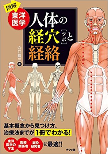 図解 東洋医学 人体の経穴[ツボ]と経絡 上限価格｜くまねこ堂