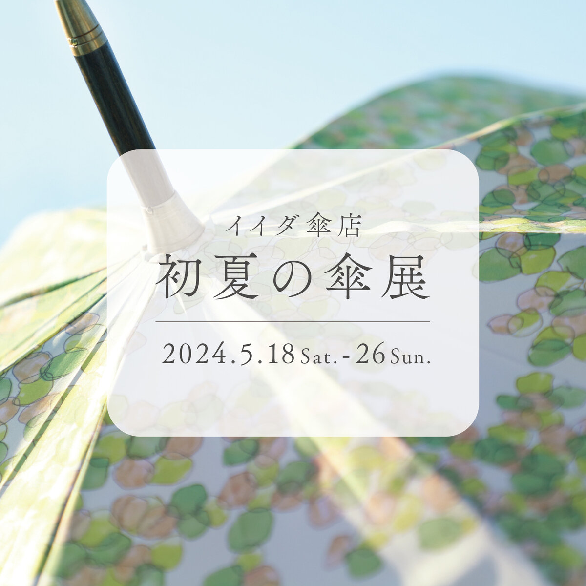 イイダ傘店 初夏の傘展 開催いたします！ | お知らせ | くるみの木 一条店