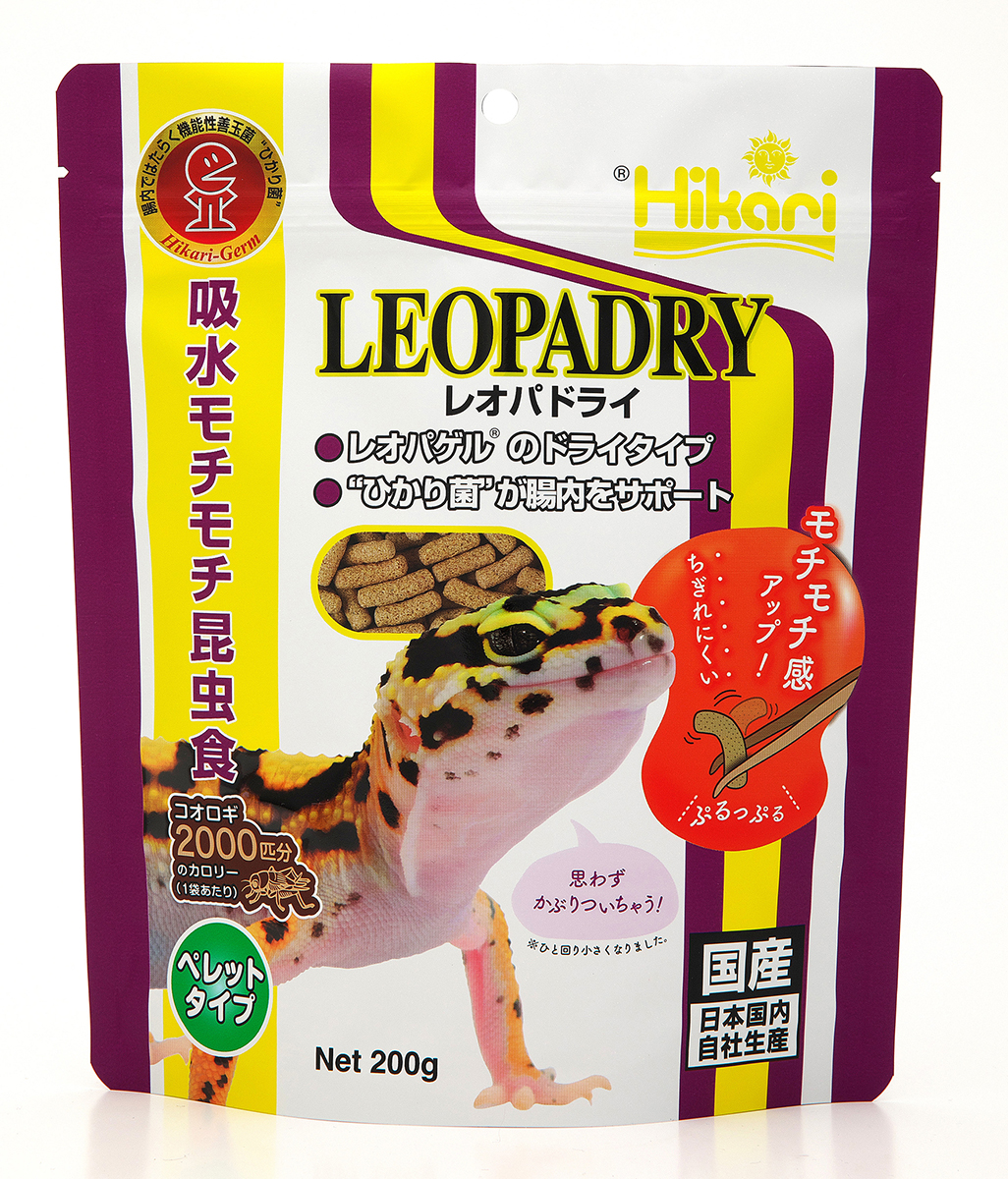 レオパドライ＜ヒョウモントカゲモドキ（レオパ）＞｜両生類・爬虫類の