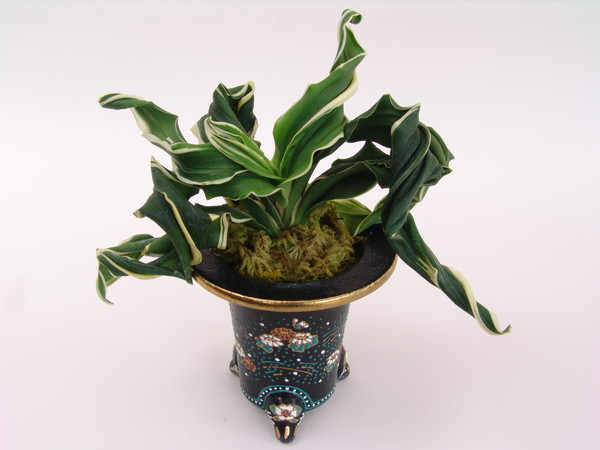 舞子獅子 (まいこじし) Maikojishi – おもとの豊明園（ほうめいえん）