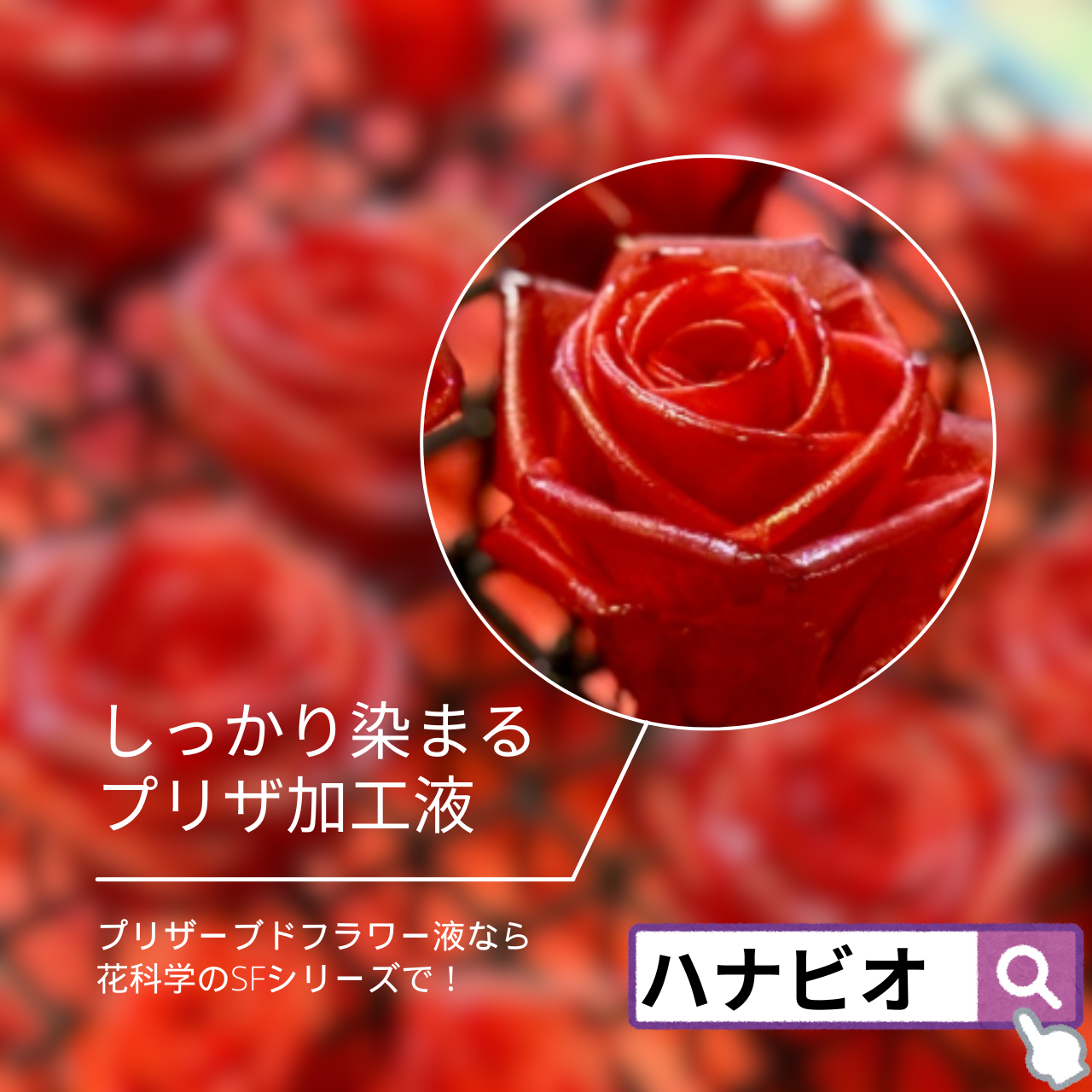 かんたんプリザーブドフラワー液 一液タイプ SF-G液 | ハナビオ