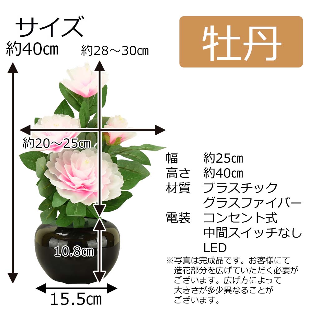 牡丹様 リクエスト プラナロム 5点 まとめ商品 星野様 リクエスト 5点